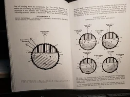 dent's swing dutchman.webp