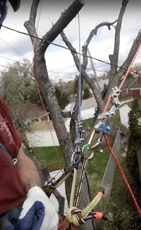 Screenshot 2018-11-28 14.14.23.webp