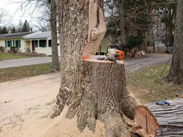 short bar notch co dom white oak.webp short bar notch co dom white oak.webp