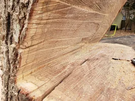 short bar notch close up.webp short bar notch close up.webp