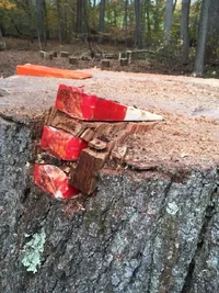 9AC81BBD-054B-4E14-9D91-690D89435E57.webp 9AC81BBD-054B-4E14-9D91-690D89435E57.webp