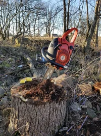 20181204_094034.webp 20181204_094034.webp