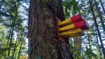 IMG_20181204_130737525_HDR.webp IMG_20181204_130737525_HDR.webp