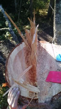 IMG_20181204_112637656.webp IMG_20181204_112637656.webp