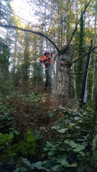 IMG_20181204_154100325.webp IMG_20181204_154100325.webp