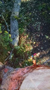 IMG_20181204_112658220.webp IMG_20181204_112658220.webp