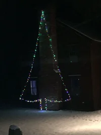 181208 Xmas Tree - IMG_0225.webp