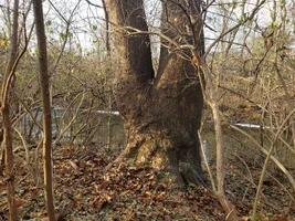 20181213_091431.webp 20181213_091431.webp