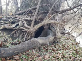 20181213_092111.webp 20181213_092111.webp