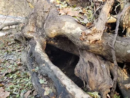 20181213_092242.webp 20181213_092242.webp