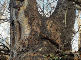 20181213_092252.webp 20181213_092252.webp