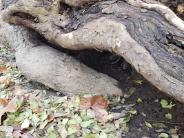 20181213_092256.webp 20181213_092256.webp