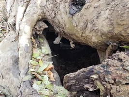 20181213_092301.webp 20181213_092301.webp