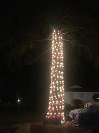 2018 Xmas My Candy Cane Tree 2.webp 2018 Xmas My Candy Cane Tree 2.webp