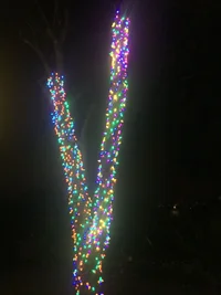 2018 Xmas, My House 2.webp 2018 Xmas, My House 2.webp