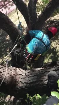 2018-12-23 19.16.29.webp