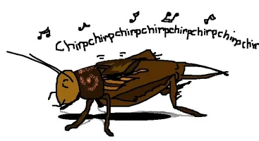 crickets.webp