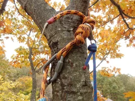 44905856_1738859246223138_465015147065245696_o.webp 44905856_1738859246223138_465015147065245696_o.webp