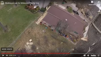 Basic rigging not understood.webp