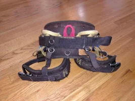 harness 3.webp