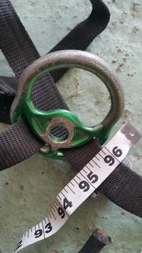 2019-01-04 09.49.51.webp