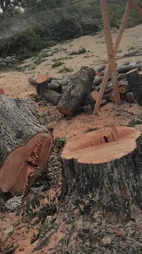 2019-01-08 20.22.51.webp