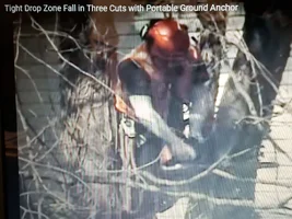 20190113_211113.webp 20190113_211113.webp