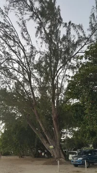 2019-01-21 18.02.55.webp