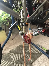 image.webp image.webp