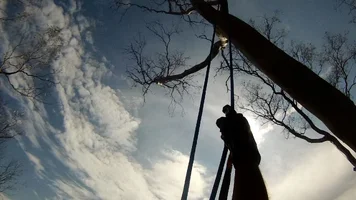 reach for the sky.webp