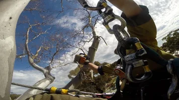 full reach means just that.webp