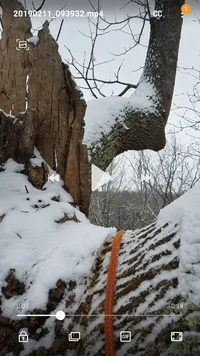 Screenshot_20190212-043931_Video Player.webp