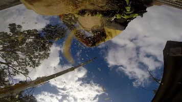 Manglitter upskirt.webp