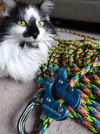 IMG_20190227_170608789.webp IMG_20190227_170608789.webp