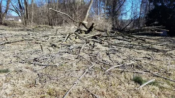 20190228_115259.webp 20190228_115259.webp