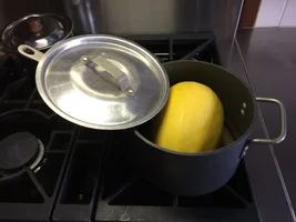 190403 Spaghetti squash w Marinara -Steam - IMG_0290.webp