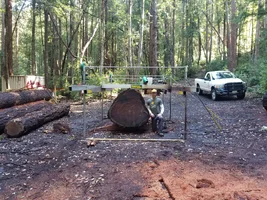 Resized_20190409_095546_5593.webp Resized_20190409_095546_5593.webp