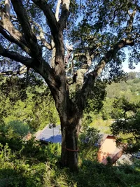 Resized_20190410_104054_1405.webp Resized_20190410_104054_1405.webp