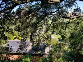 Resized952019041095112818953002.webp Resized952019041095112818953002.webp