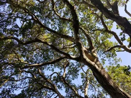 Resized_20190410_105940_2573.webp Resized_20190410_105940_2573.webp