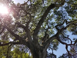 Resized_20190410_134615_3093.webp Resized_20190410_134615_3093.webp