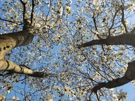 20190409_175735.webp 20190409_175735.webp