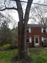 20190418_130913.webp 20190418_130913.webp