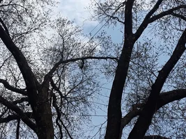 20190418_130856.webp 20190418_130856.webp