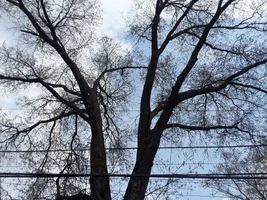 20190418_130846.webp 20190418_130846.webp