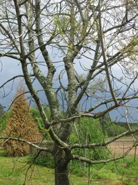 IMG_3040.webp IMG_3040.webp