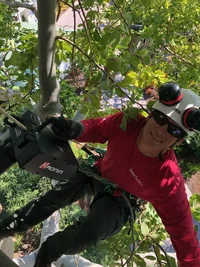 Signature Tree Care.webp