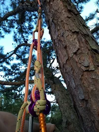 IMG_20190507_064716898.webp IMG_20190507_064716898.webp