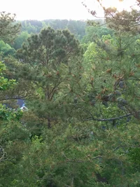 IMG_20190507_064847092.webp IMG_20190507_064847092.webp