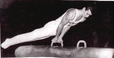 John Prine side horse.webp